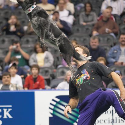 K9s In Flight - Homeless To High Flying - Frisbee Dog Show