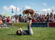 K9s In Flight - Homeless To High Flying - Frisbee Dog Show