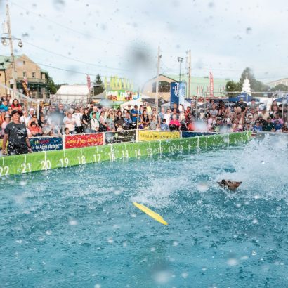 K9s In Flight - Homeless To High Flying - Frisbee Dog Show