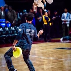 K9s In Flight - Homeless To High Flying - Frisbee Dog Show
