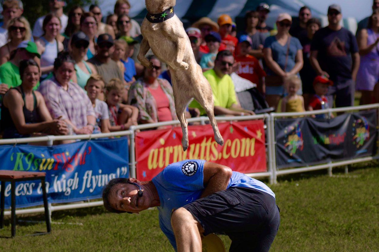 K9s In Flight - Homeless To High Flying - Frisbee Dog Show