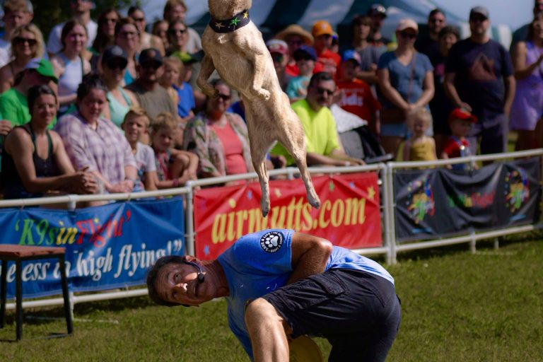 K9s In Flight – Homeless To High Flying – Frisbee Dog Show K9s In Flight - Homeless To High Flying - Frisbee Dog Show