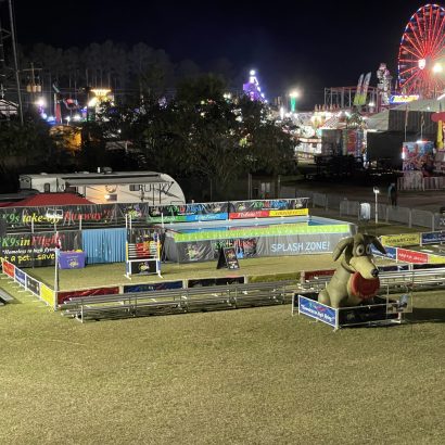 K9s In Flight - Homeless To High Flying - Frisbee Dog Show