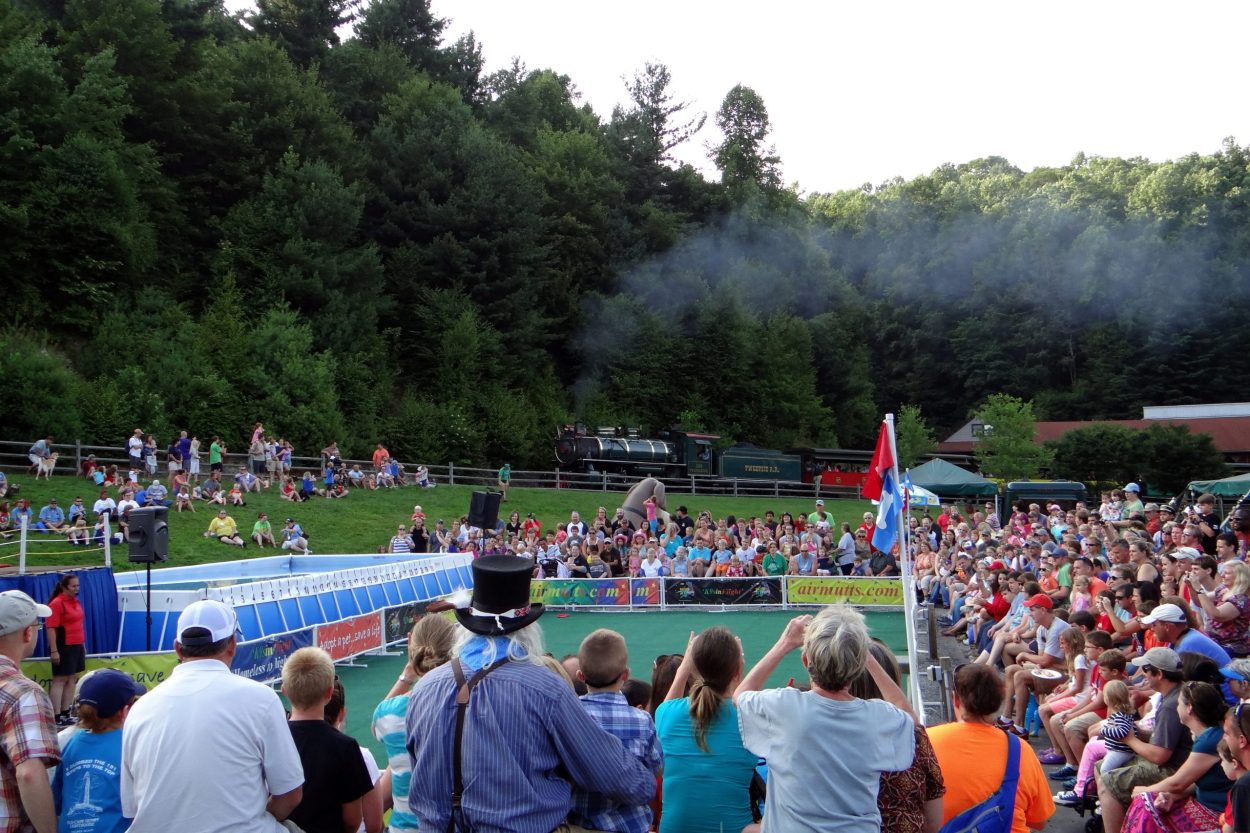 K9s In Flight - Homeless To High Flying - Frisbee Dog Show