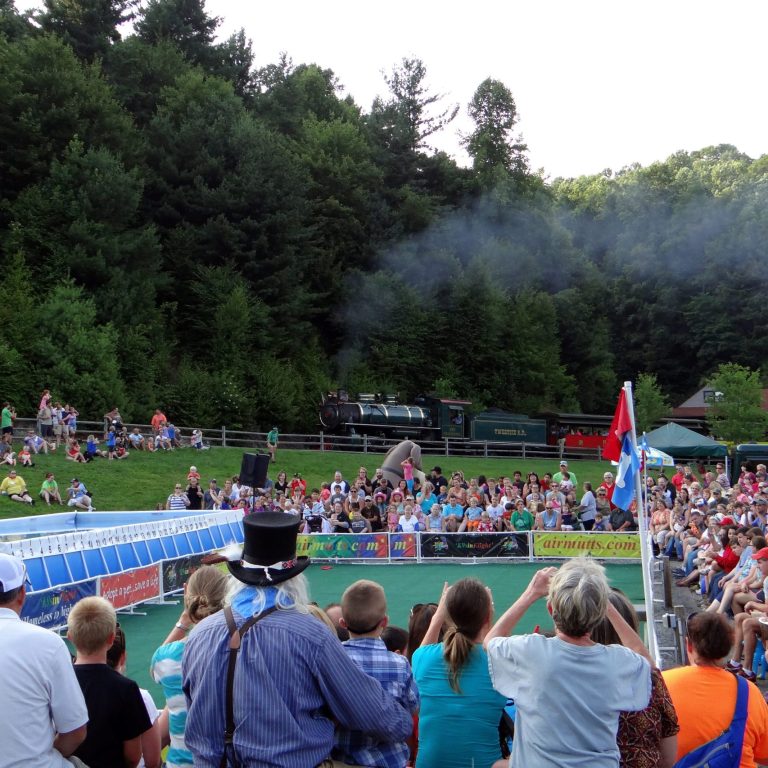 K9s In Flight - Homeless To High Flying - Frisbee Dog Show