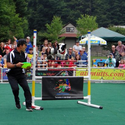 K9s In Flight - Homeless To High Flying - Frisbee Dog Show