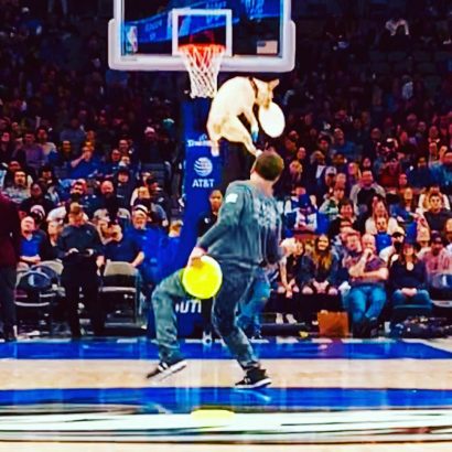 K9s In Flight - Homeless To High Flying - Frisbee Dog Show