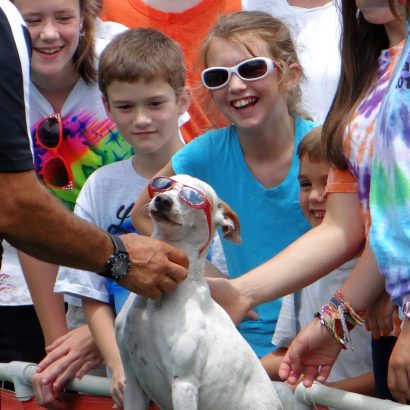 K9s In Flight - Homeless To High Flying - Frisbee Dog Show