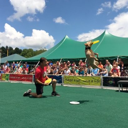 K9s In Flight - Homeless To High Flying - Frisbee Dog Show