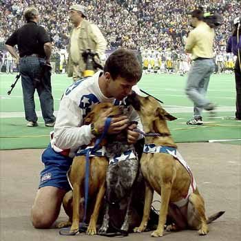 K9s In Flight - Homeless To High Flying - Frisbee Dog Show