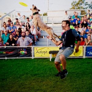 Dog leaps to catch a yellow frisbee midair as a man in a black shirt holds the leash at a crowded outdoor event on a grass field.