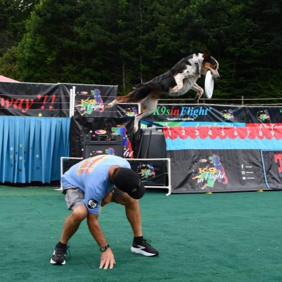 A dog leaps mid-air to catch a white frisbee during a dog frisbee show, with a trainer bending on the green turf nearby.