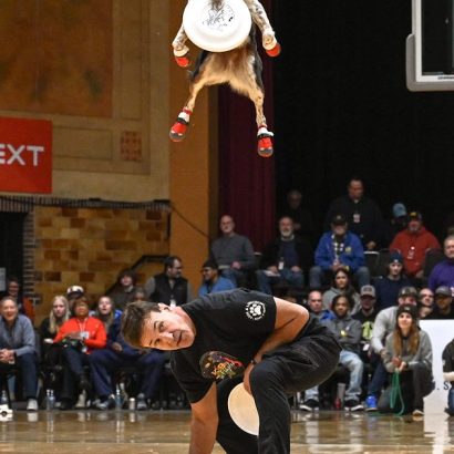 Dog leaps midair with a frisbee in its mouth during an indoor disc-dog competition as a man crouches on the gym floor and spectators watch in the background.