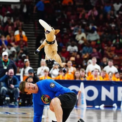 Dog leaps mid-air to catch a white frisbee over a kneeling trainer in a blue shirt on an indoor basketball court, with a crowded audience in the background.