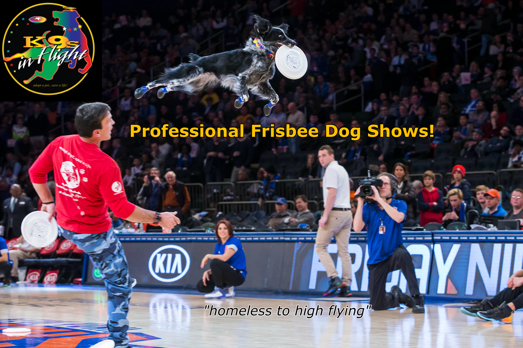 Frisbee dog jumps mid-air to catch a disc during a professional show, with a crowd watching and logos visible in the arena.