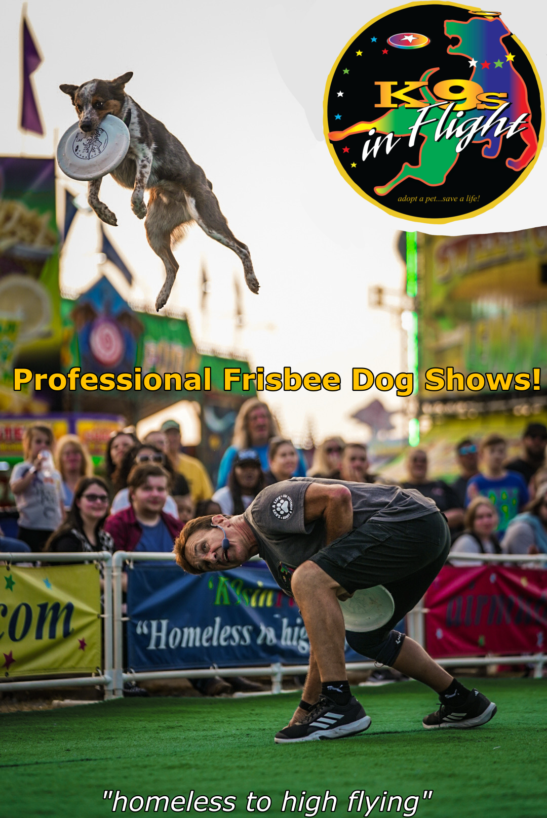 Dog leaps to catch a frisbee during a crowded outdoor frisbee show; banner reads 'Professional Frisbee Dog Shows!' and a colorful K9s in Flight logo is visible top right.