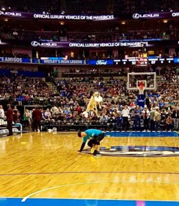 Dog catches a disc on the court during a halftime performance