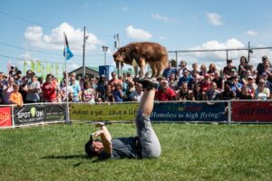 Handler lies on the turf while a dog vaults overhead