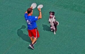 Handler and dog practice disc tricks on turf
