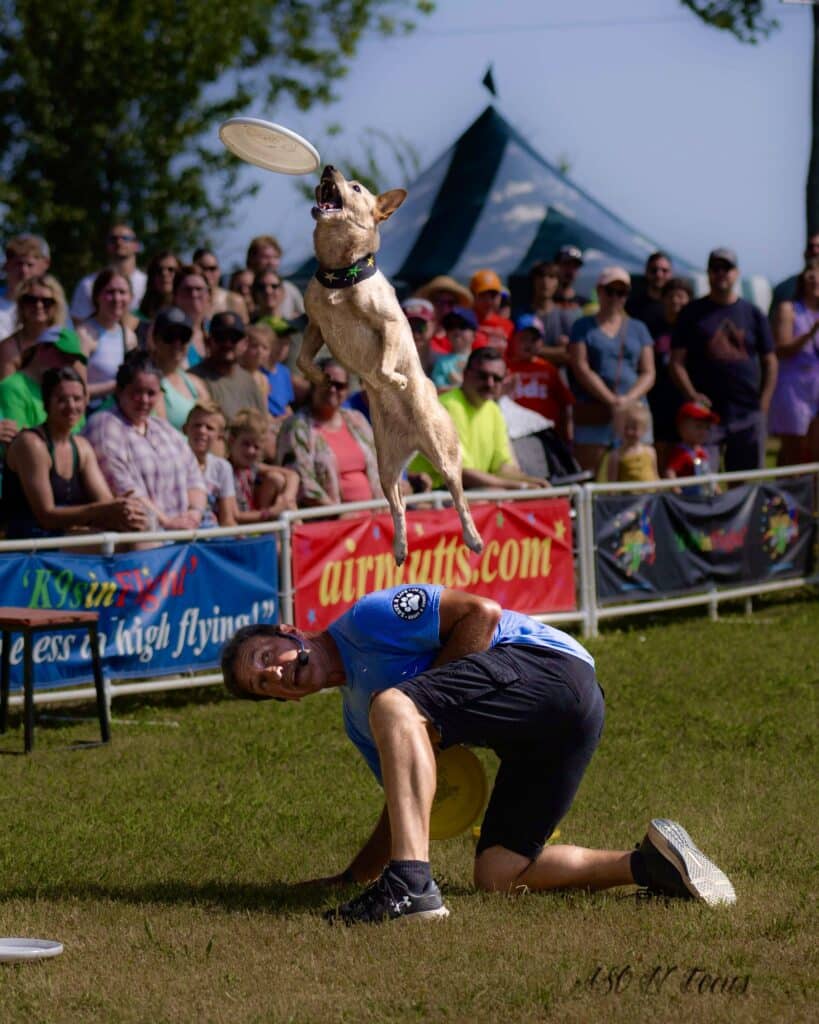 Dog vaults off the handler at a fair show