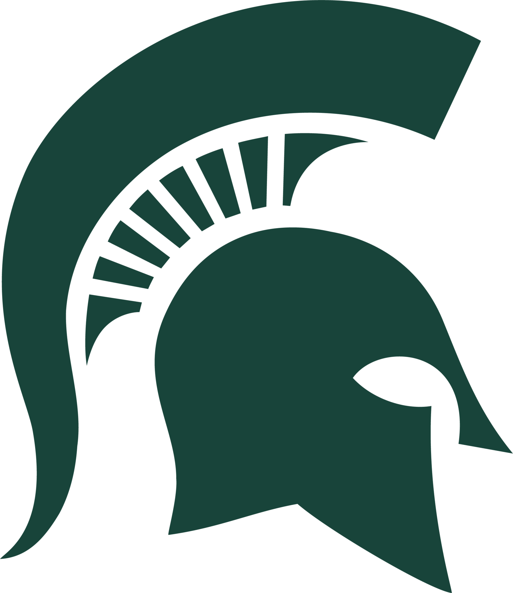 Michigan State Spartans Michigan State Spartans logo