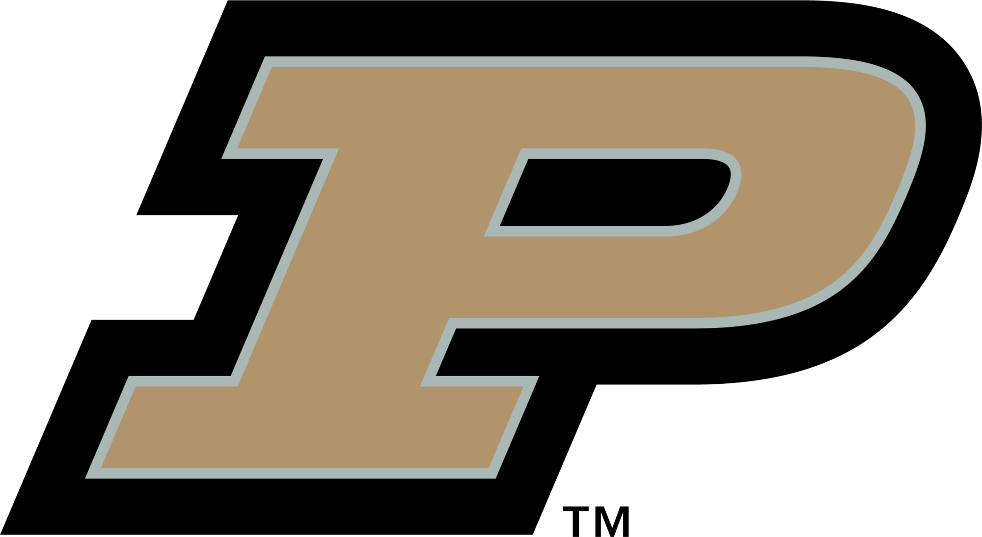 Purdue Boilermakers logo