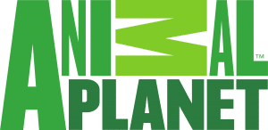 Animal Planet logo