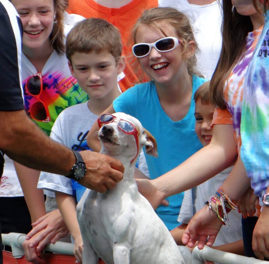 Fin in sunglasses meets young fans after a show