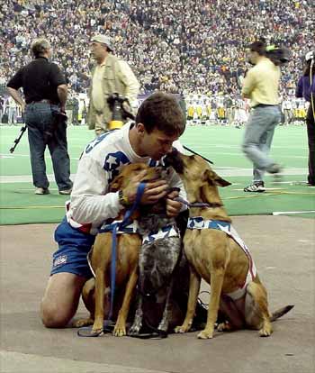 John Misita kneels with three of his rescue dogs on the field John Misita kneels with three of his rescue dogs on the field